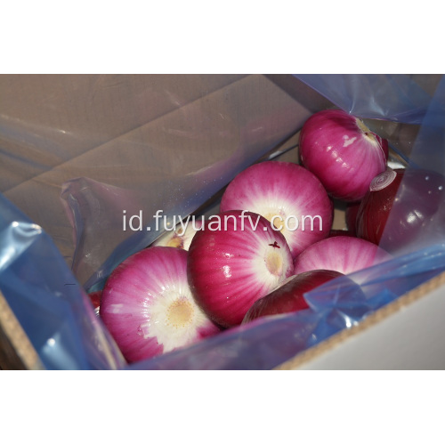 Kupas Bawang Merah ke pasar Australia